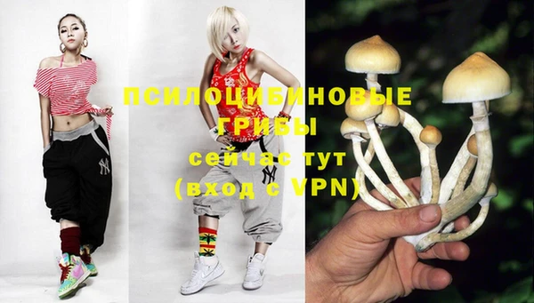 spice Майский