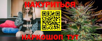 гидропоника Будённовск
