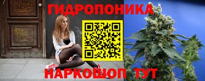 гидропоника Будённовск