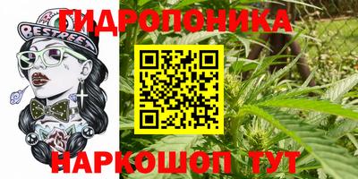гидропоника Будённовск