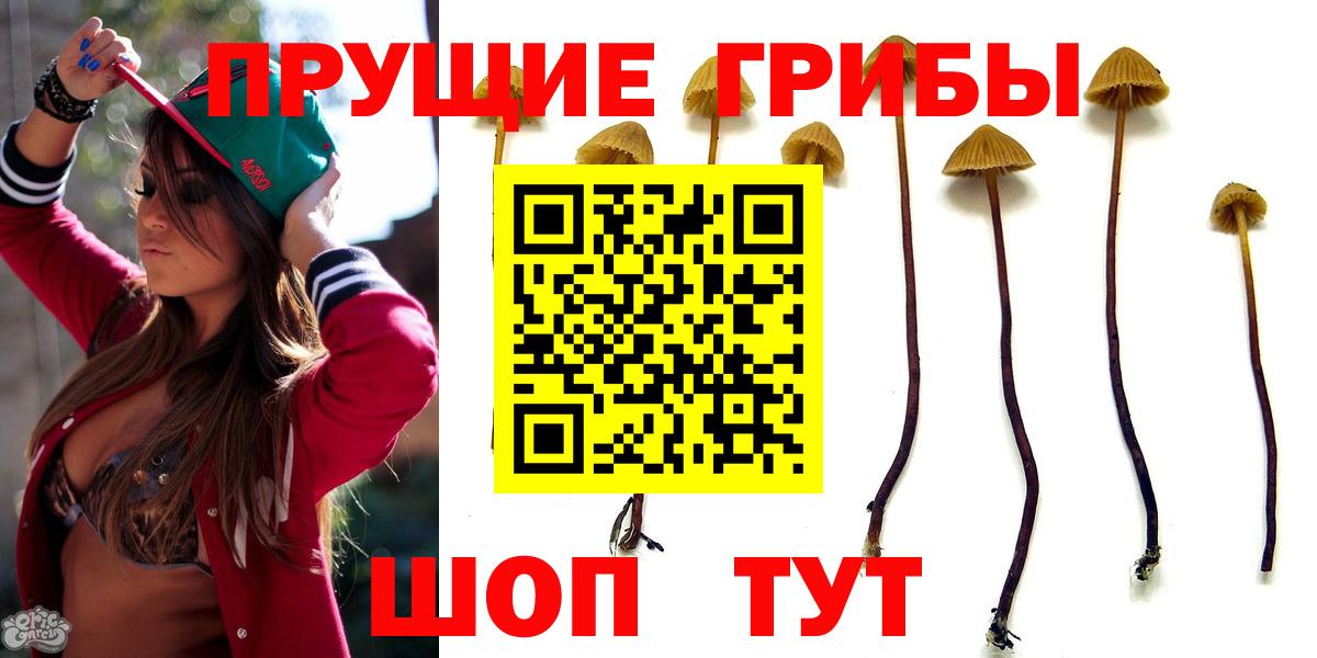 Галлюциногенные грибы мухоморы Воронеж
