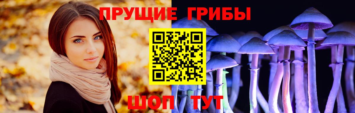 Псилоцибиновые грибы Magic Shrooms  Вход с VPN  Воронеж 